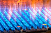 Roxburgh gas fired boilers